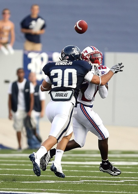 增长的追随 增长的追随